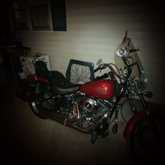 Meet your Posher, Steve - Picture 1 of 1